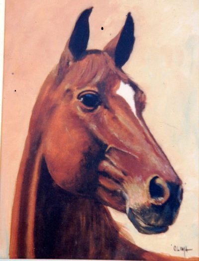 CAVALO-ÁRABE-113-Cópia-2-400×525